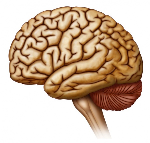 Acute Disseminated Encephalomyelitis